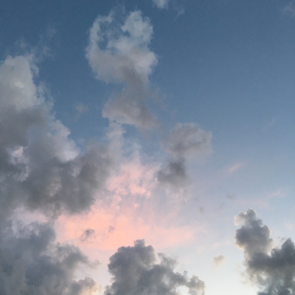 Meet your Posher, Sofia